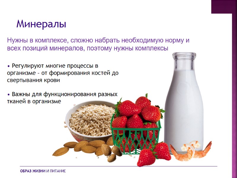 Минералы • Регулируют многие процессы в организме – от формирования костей до свертывания крови